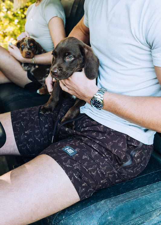 Ducks and Cattails Men's Short