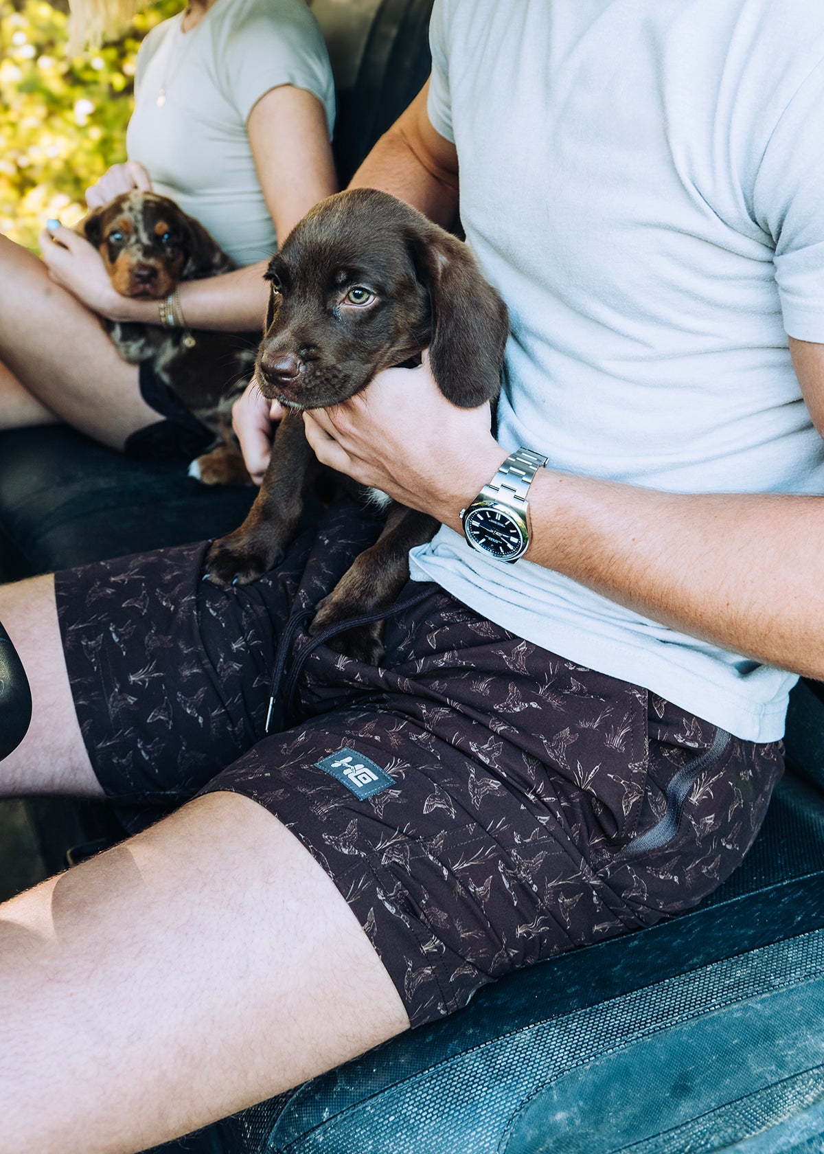 Ducks and Cattails Men's Short